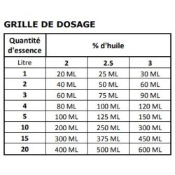 BIDON HUILE SYNTHETIQUE ARMORINE - MOTEUR 2 TEMPS - 2 LITRES