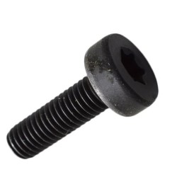 boulon-echo-shindaiwa-v805000250