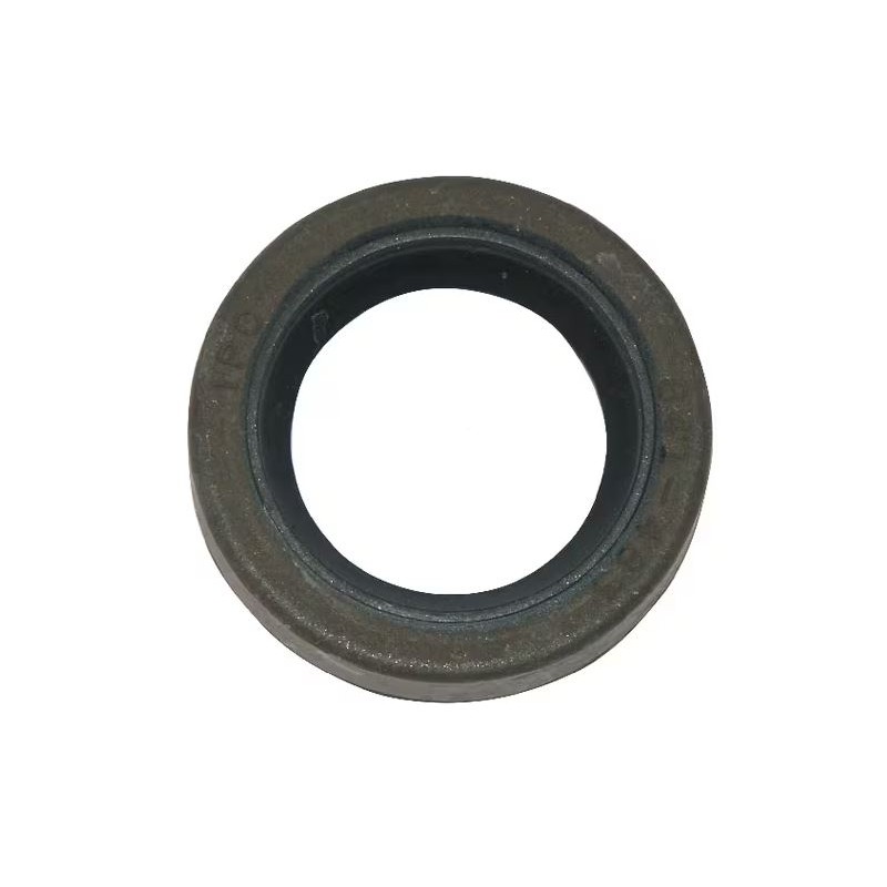 joint-a-levre-briggs-et-stratton-391483s