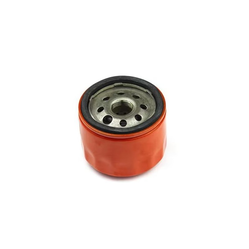 filtre-a-huile-briggs-et-stratton-798576