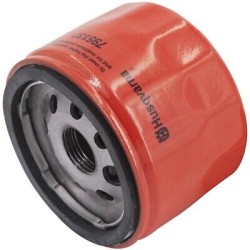 filtre-a-huile-briggs-et-stratton-798576