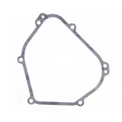 joint-de-carter-briggs-et-stratton-699485