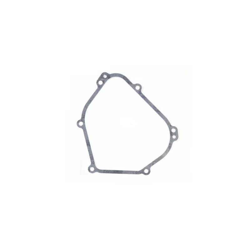 joint-de-carter-briggs-et-stratton-699485