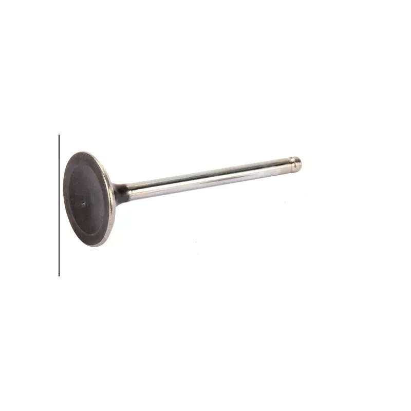 Soupape échappement BRIGGS et STRATTON 792868, 695760, 696986, 791934, 698370, 495856 Soupape échappement BRIGGS et STRATTON 792868, 695760, 696986, 791934, 698370, 495856