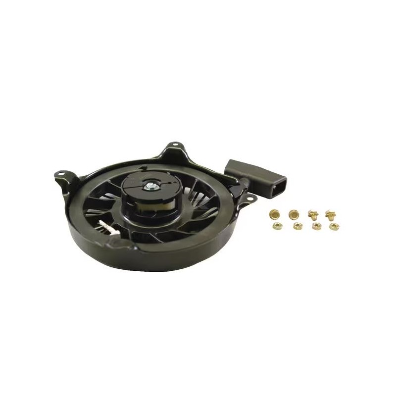 lanceur-briggs-et-stratton-497830