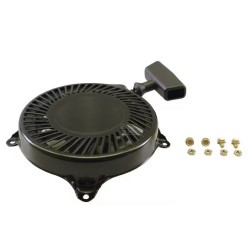 lanceur-briggs-et-stratton-497830