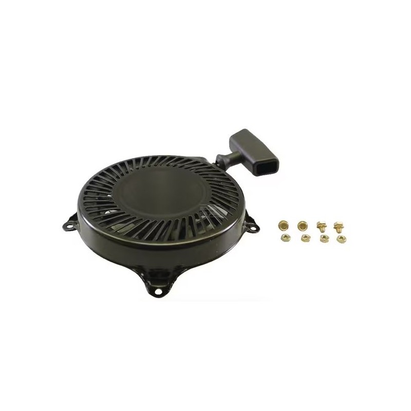 lanceur-briggs-et-stratton-497830