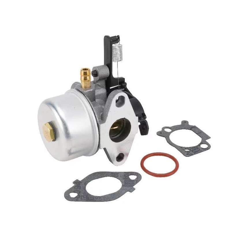 carburateur-briggs-et-stratton-591137