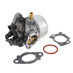 carburateur-briggs-et-stratton-591137