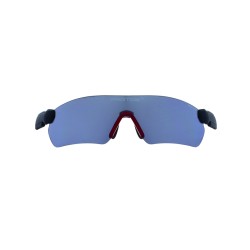 lunettes-de-protection-grises-protos-integral-arborist