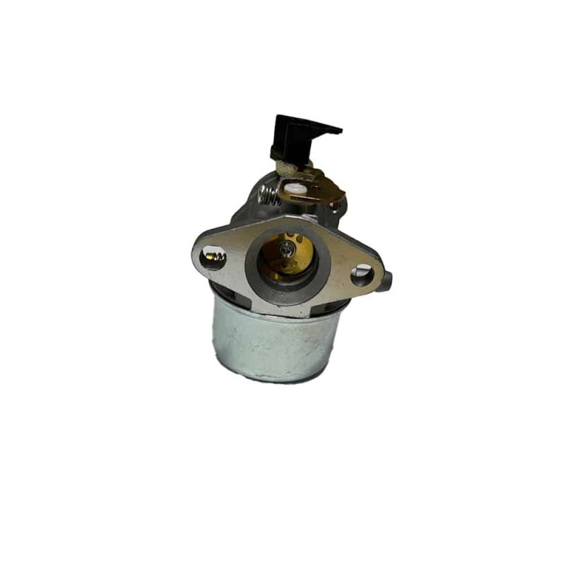 carburateur-moteur-briggs-et-stratton-498965