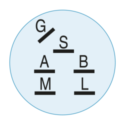 contacteur-a-clef-6-bornes-tracteur-tondeuse-ayp-ropers-14615-73232