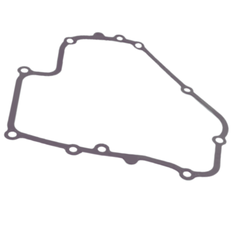 joint-de-carter-briggs-et-stratton-793445