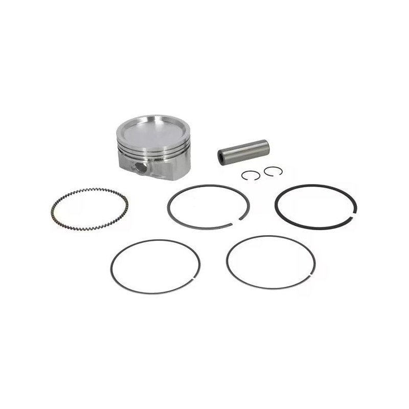 piston-cpt-briggs-et-stratton-843805