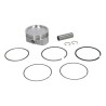 piston-cpt-briggs-et-stratton-843805