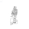 Cylindre avec Pistons DIAM 50 mm STIHL 42820201201 - 4282-020-1201 - PIECE D'ORIGINE