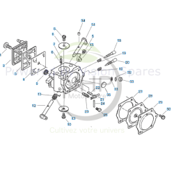 Carburateur ECHO, SHINDAIWA référence 12300032433 - PIECE D'ORIGINE
