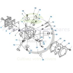 Carburateur ECHO, SHINDAIWA référence 12300032331 - PIECE D'ORIGINE