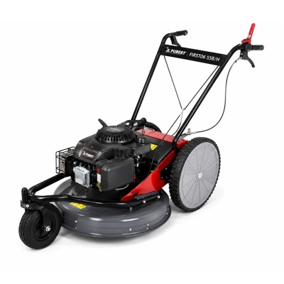 PUBERT FGD 170