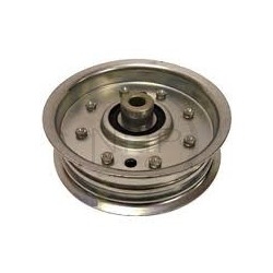 Poulie cannelée AYP