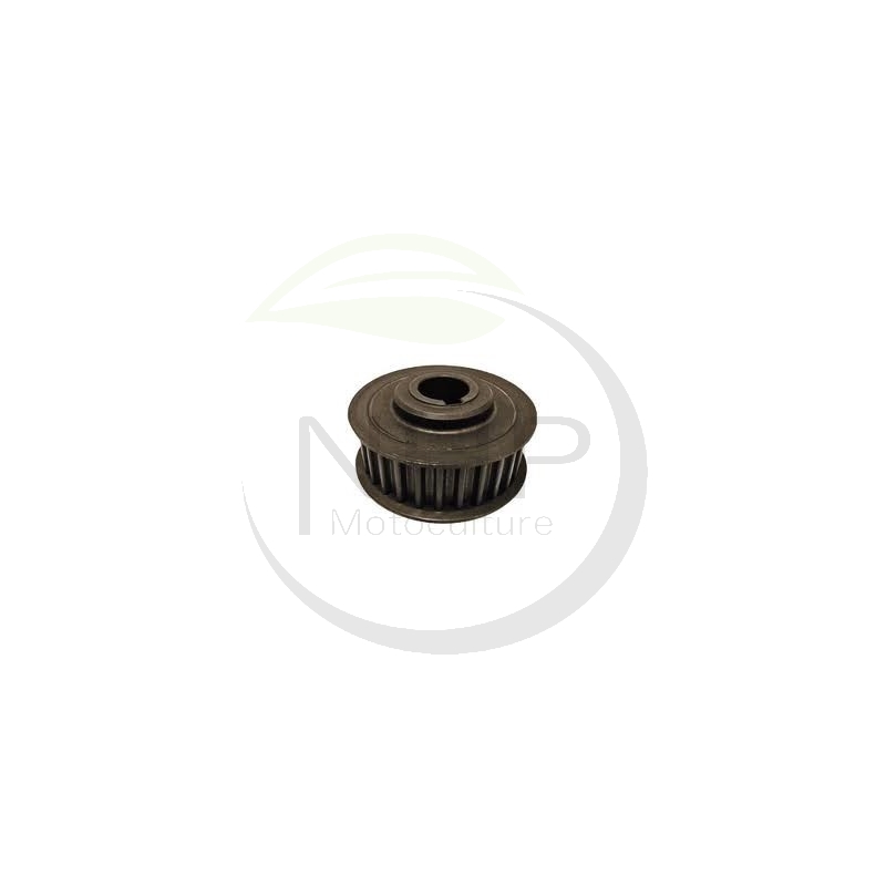 Poulie 28 dents CASTEL GARDEN