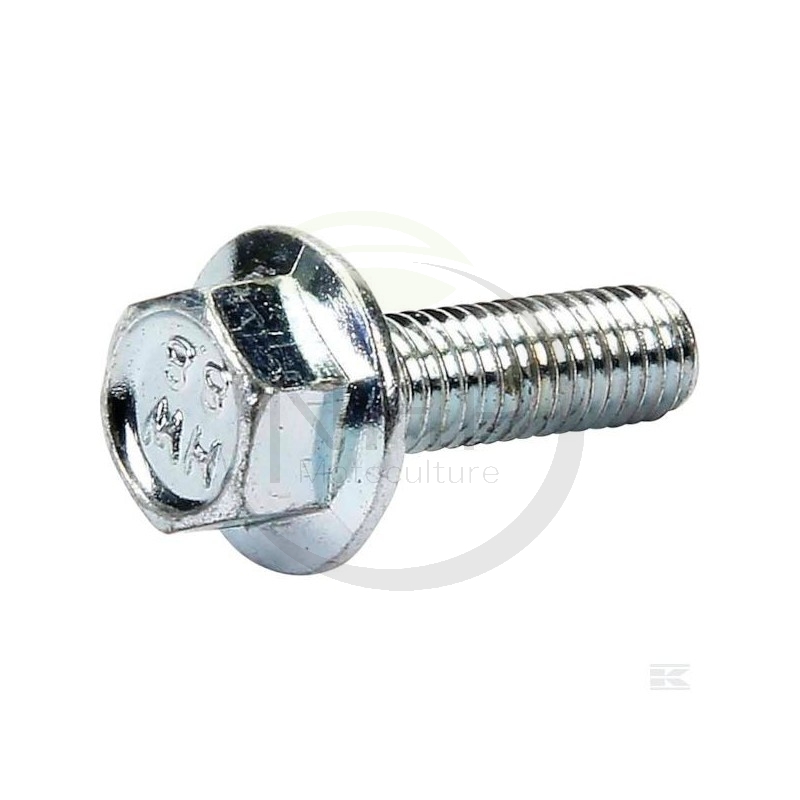 Vis ETESIA 37996, ET37996 HM5, 16 8.8 emb