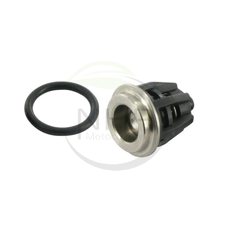 Clapet nettoyeur haute pression pompe Interpump 36703201