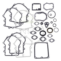KIT JOINT MOTEUR BRIGGS ET STRATTON 495868 - 394501 - 491856