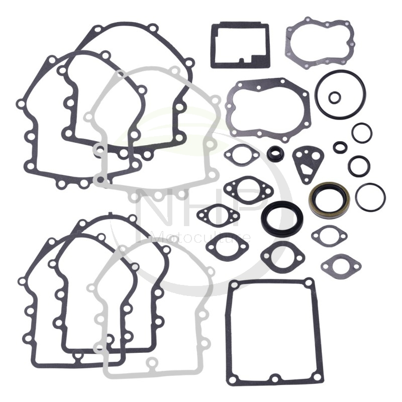 KIT JOINT MOTEUR BRIGGS ET STRATTON 495868 - 394501 - 491856