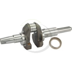 VILEBREQUIN MOTEUR BRIGGS ET STRATTON 595339 - 797579 - 697127