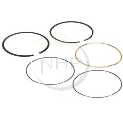 Kit segment BRIGGS et STRATTON 594437, 690162, 699026, 699051, 791936