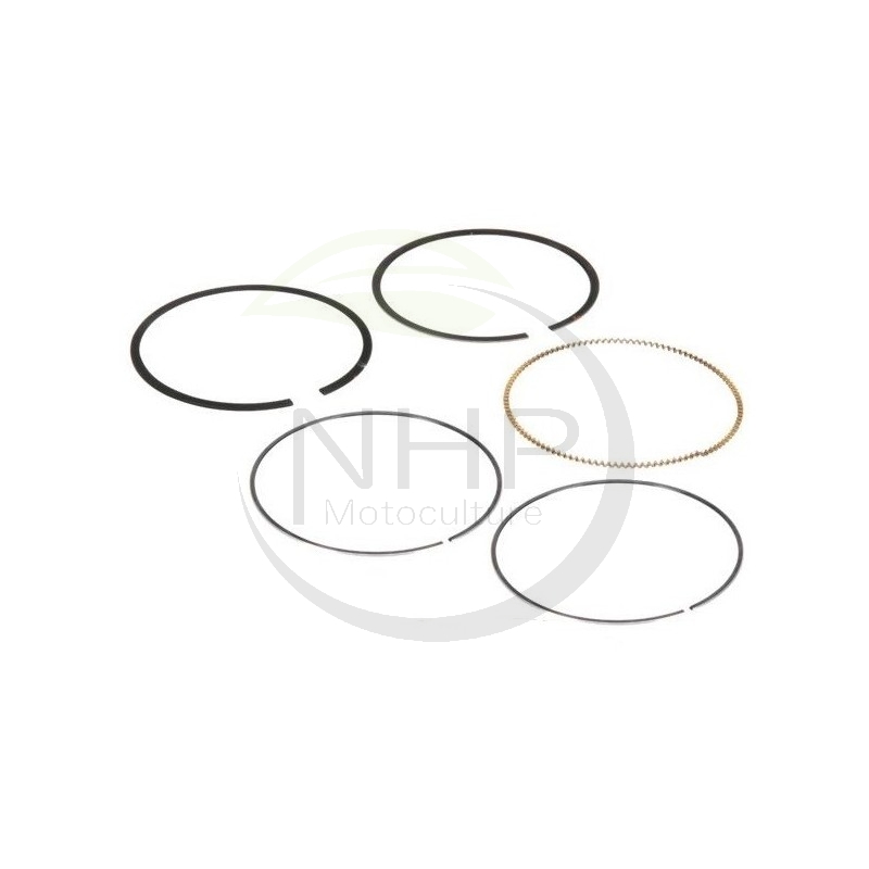 Kit segment BRIGGS et STRATTON 594437, 690162, 699026, 699051, 791936