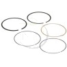 Kit segment BRIGGS et STRATTON 594437, 690162, 699026, 699051, 791936
