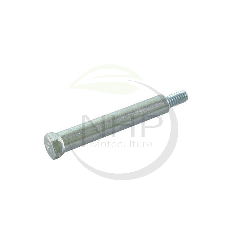 Vis échappement BRIGGS et STRATTON 691340, 94231