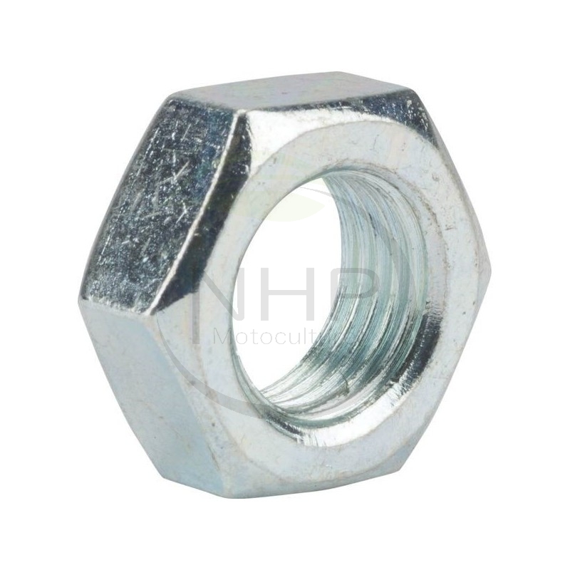 Ecrou BRIGGS et STRATTON 703903