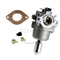 CARBURATEUR BRIGGS ET STRATTON 698620 - 799727