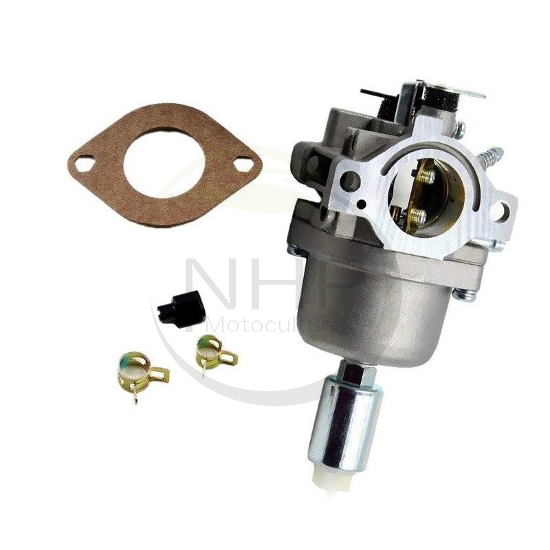 CARBURATEUR BRIGGS ET STRATTON 698620 - 799727