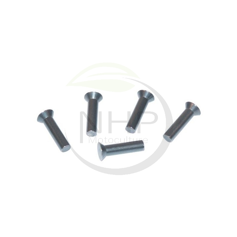 Rivet 5x25mm