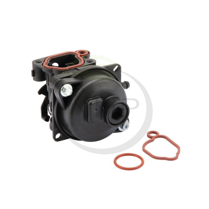 Carburateur Briggs et Stratton 595656