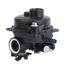 Carburateur Briggs et Stratton 595656, 591979