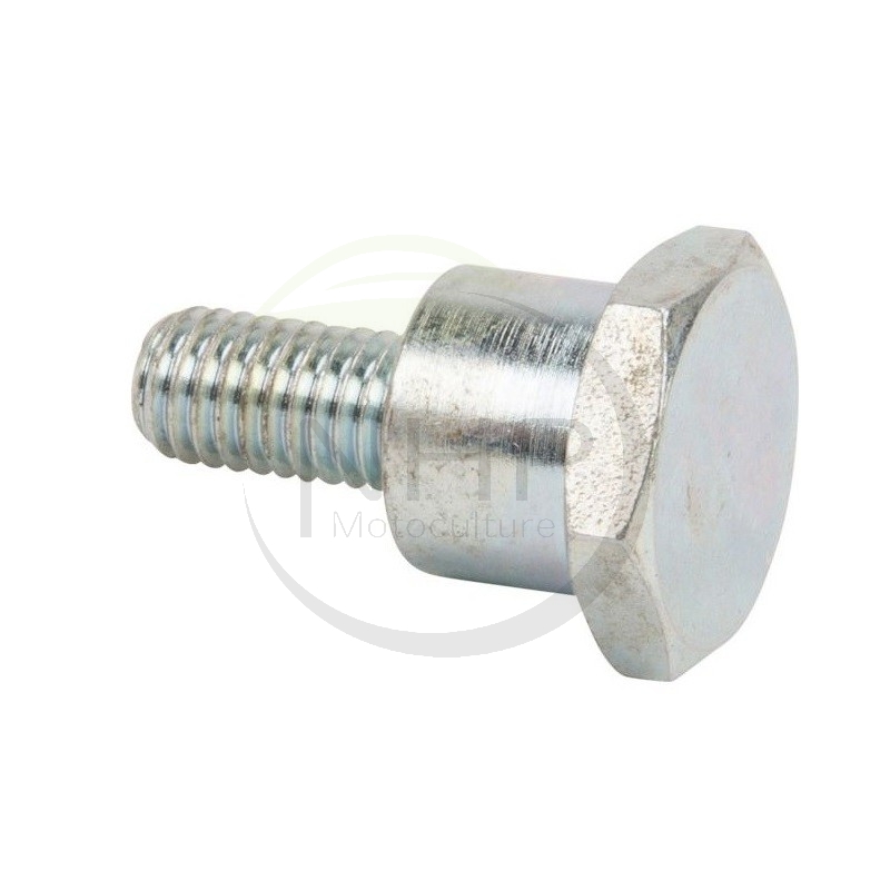 Vis de fixation du convoyeur d'herbe pour tondeuse GGP, CASTEL GARDEN, STIGA 125510051/0, 25510051/0, 125510051/1, 25510051/1, 1