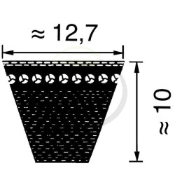 Courroie tondeuse débroussailleuse PUBERT, STAUB, OLEO MAC 0306030020, 13505