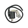 Bobine allumage moteur FA210, 21171-2167, 211712167