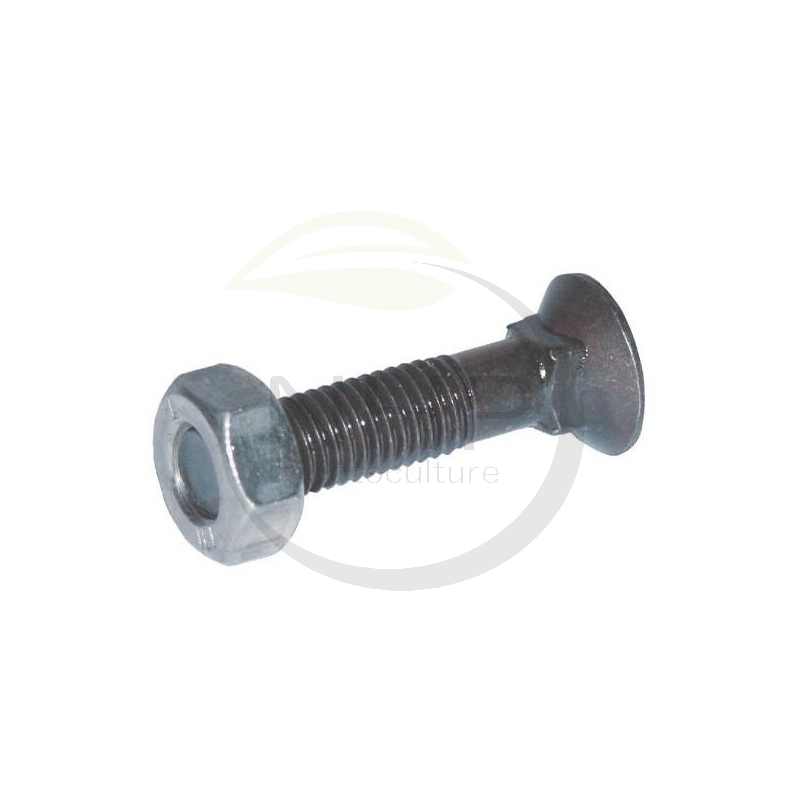Boulon + écrou charrue M12x65
