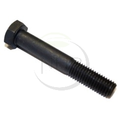 Vis de lame broyeur DELMORINO 40100204