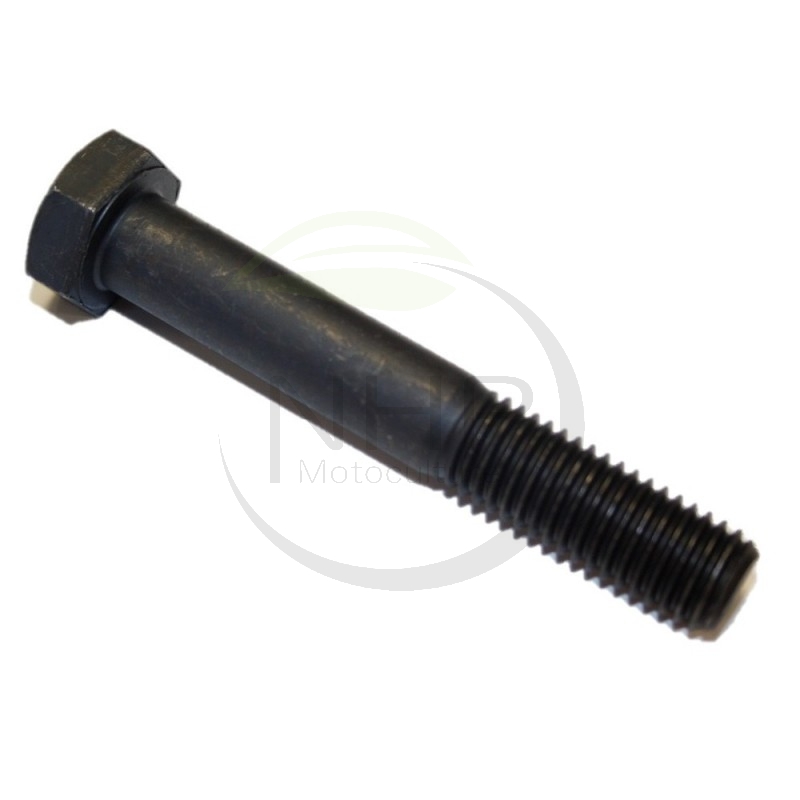 Vis de lame broyeur DELMORINO 40100204