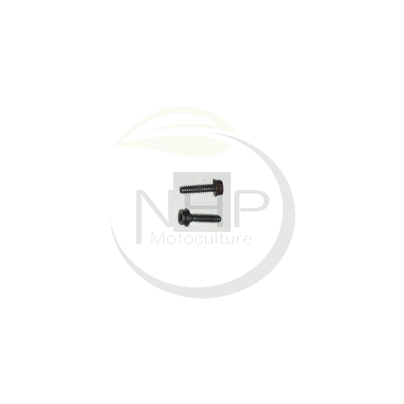 Vis de fixation HUSQVARNA, JONSERED 503216820, 503 21 68-20, M8x20