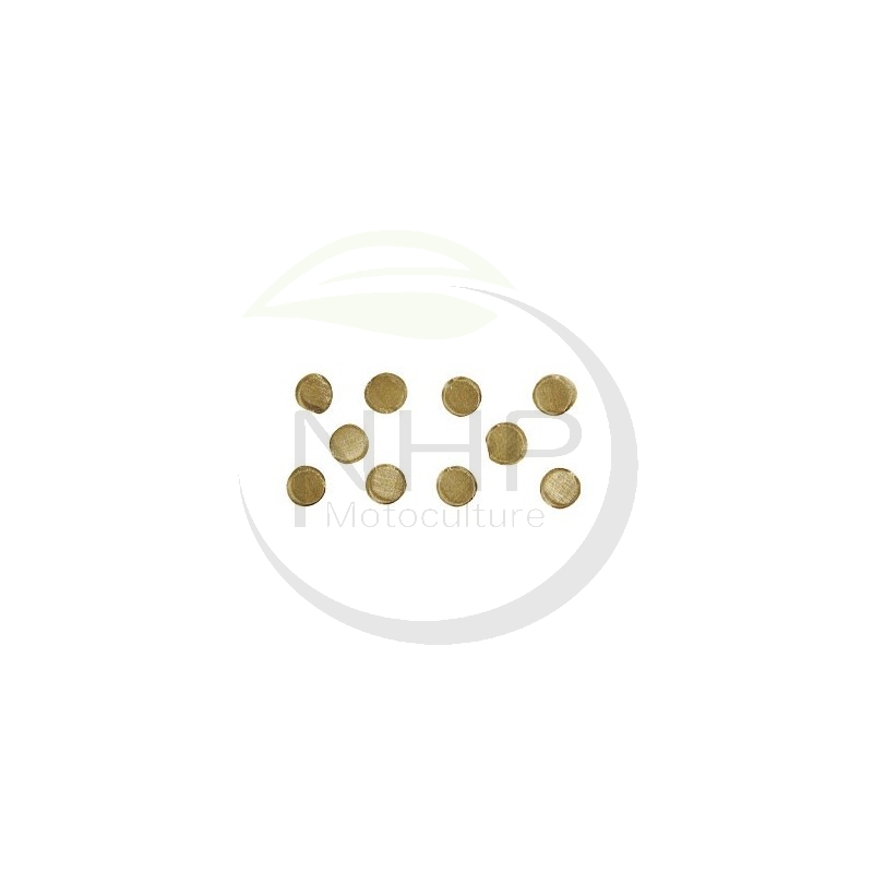 Filtre tamis carburateur