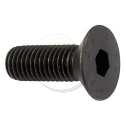 Vis pour couteau de broyeur DELMORINO Scutum, Pugio 40100139