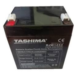Batterie tondeuse 4.5 AH 12V, CASTEL GARDEN, STIGA, 18120052/0, 1181200520, 181200520, 1136-1320-01, 1136132001, DJW1254 
